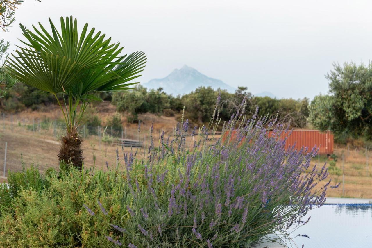 Afisia Villas Sarti Bagian luar foto
