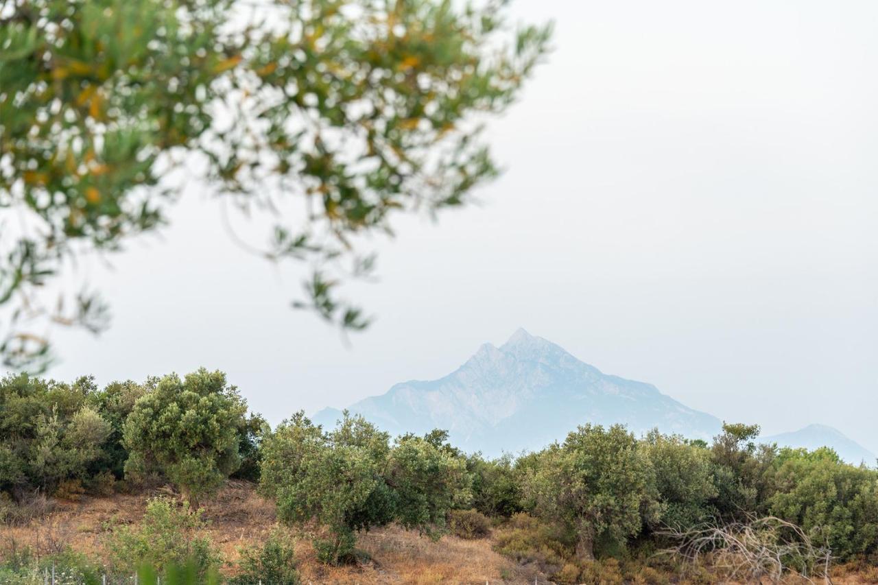 Afisia Villas Sarti Bagian luar foto